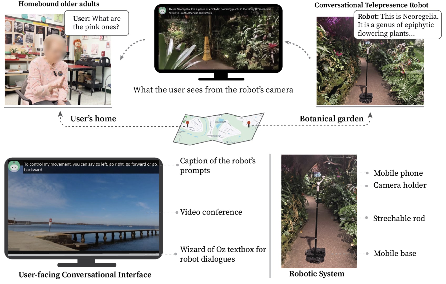 Image Description - This image illustrates a telepresence system designed for homebound older adults to virtually visit a botanical garden using a conversational robot. In the top left, an older adult is shown at home, interacting with the system and asking, ''What are the pink ones?'' The top center shows a screen displaying what the user sees from the robot's camera, capturing plants in the garden, with a caption providing information about one of the plants, such as ''This is Neoregelia.'' On the right, the robot is depicted in the garden, consisting of a mobile base, a stretchable rod, and a mobile phone acting as its camera. The robot is capable of responding to questions and moving based on the user's voice commands. The bottom left shows the user-facing conversational interface, which allows the user to control the robot's movement by saying commands like ''go left'' or ''go forward.'' The interface also includes captions of the robot's prompts and a Wizard of Oz textbox used to control the robot's dialogue. A map in the center connects the user's home to the botanical garden, illustrating the telepresence experience.